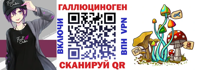 Галлюциногенные грибы Cubensis  Рошаль 